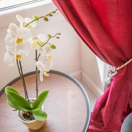 Bed & Breakfast Corte Realdi Garda Garda (Verona)